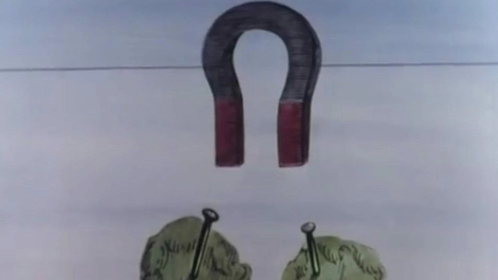 The Snails