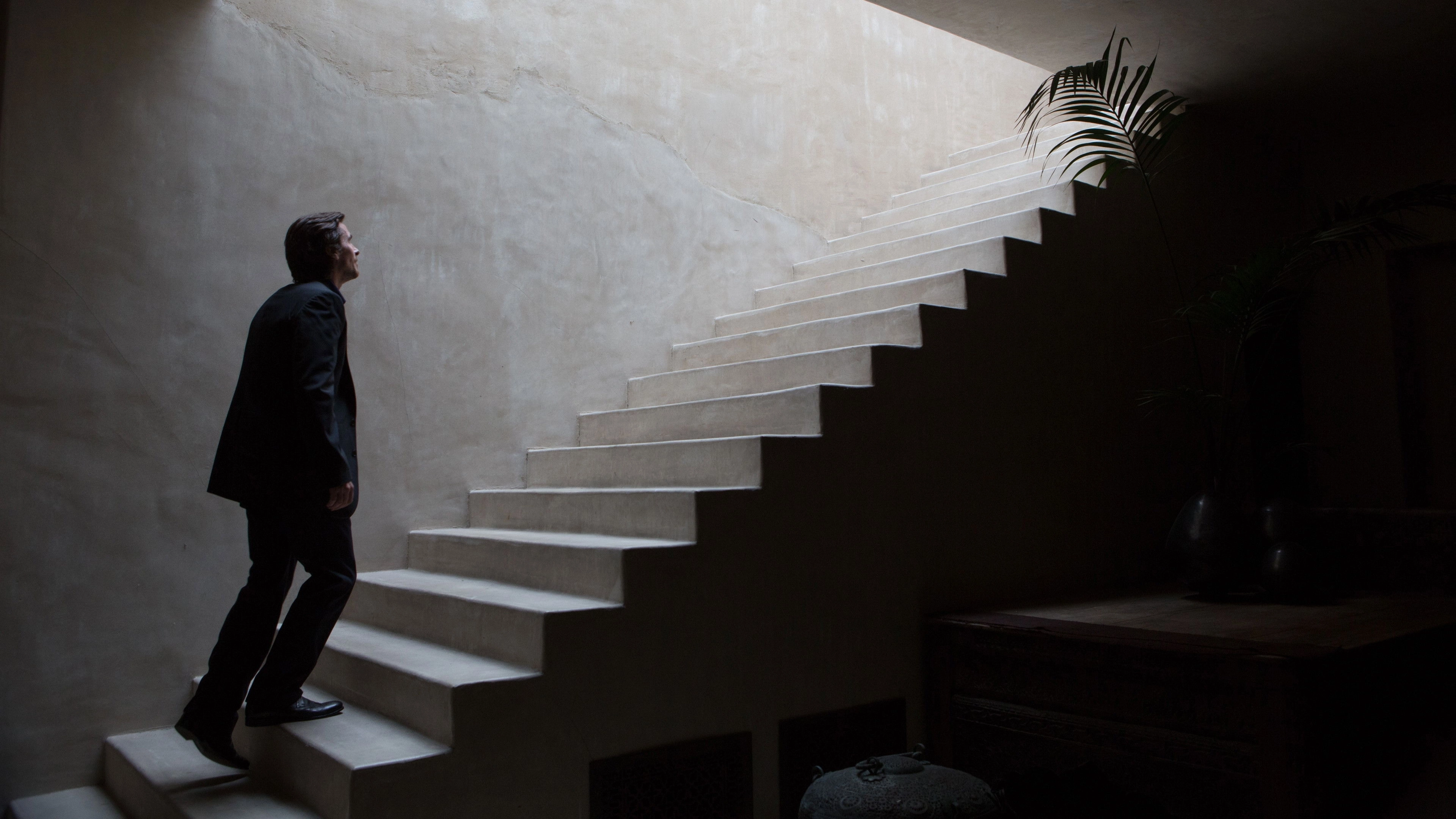 Knight of Cups
