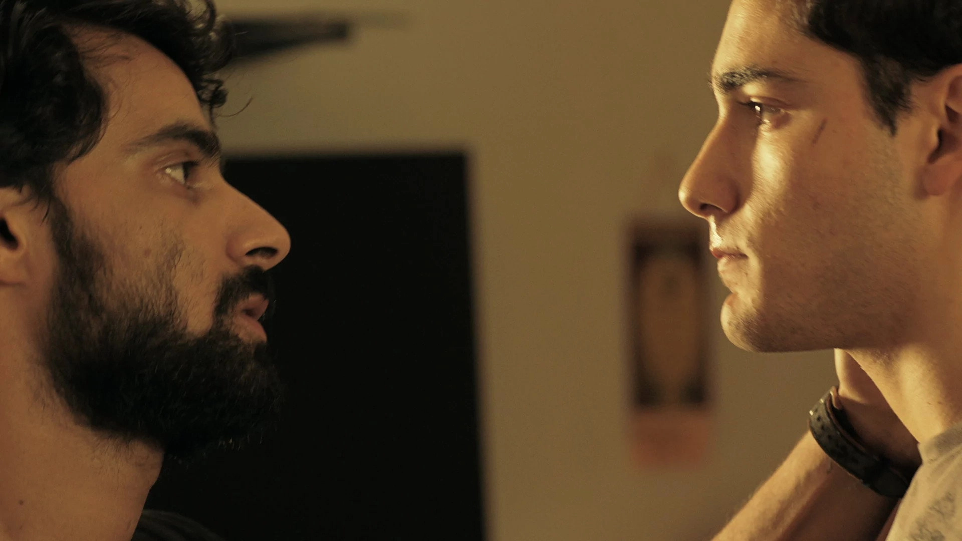 Fauda