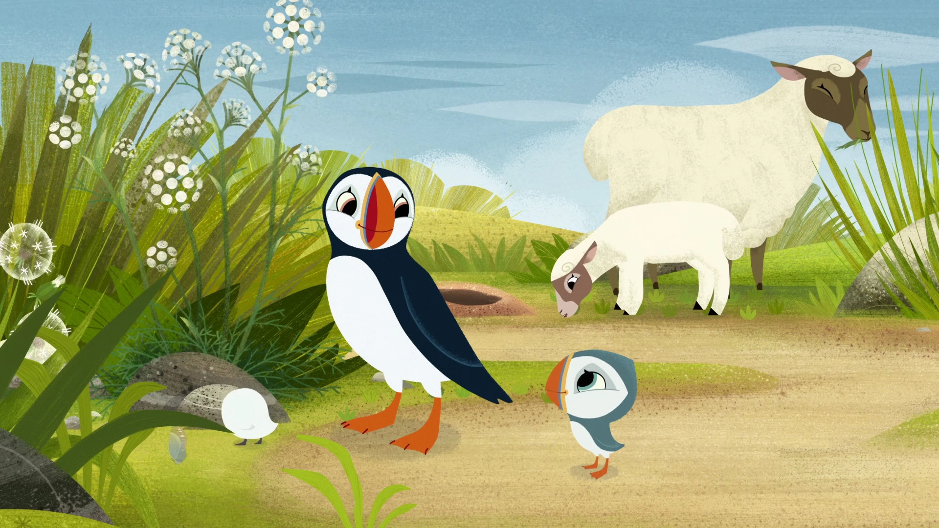 Puffin Rock