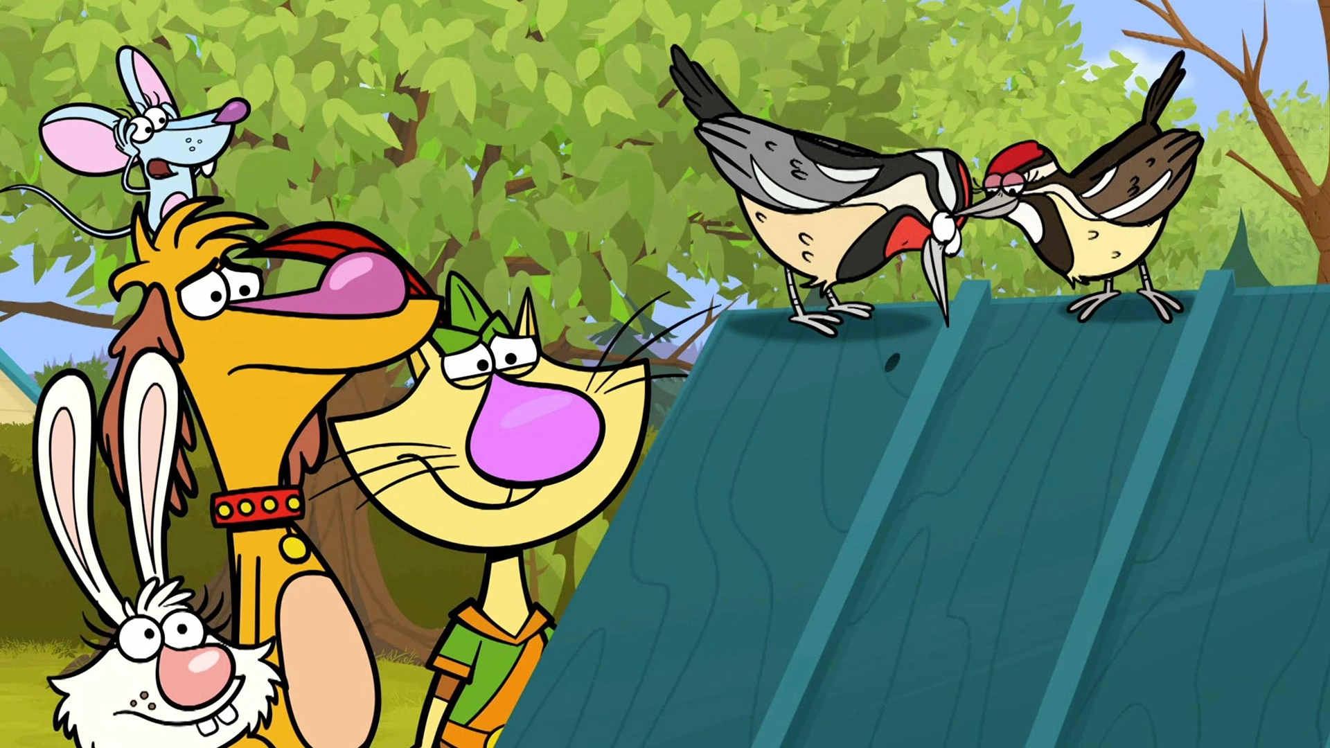 Nature Cat