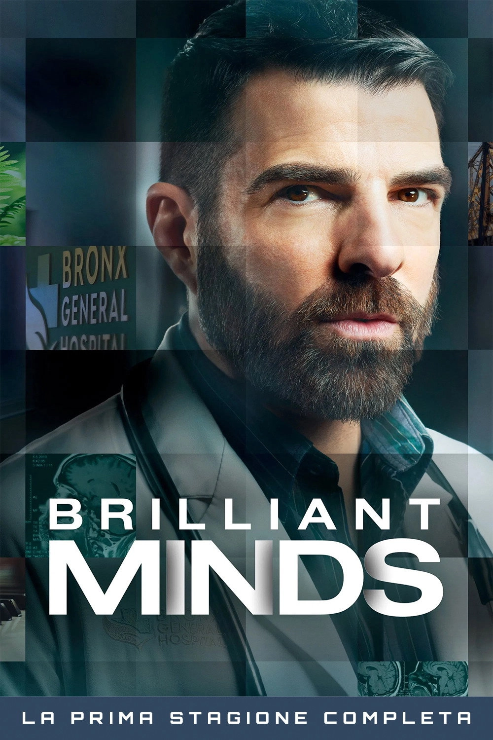Brilliant Minds
