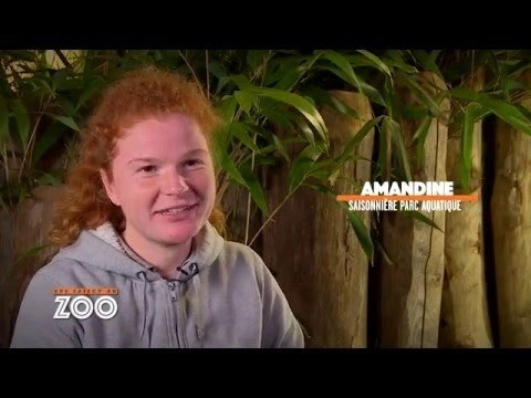 Une saison au zoo