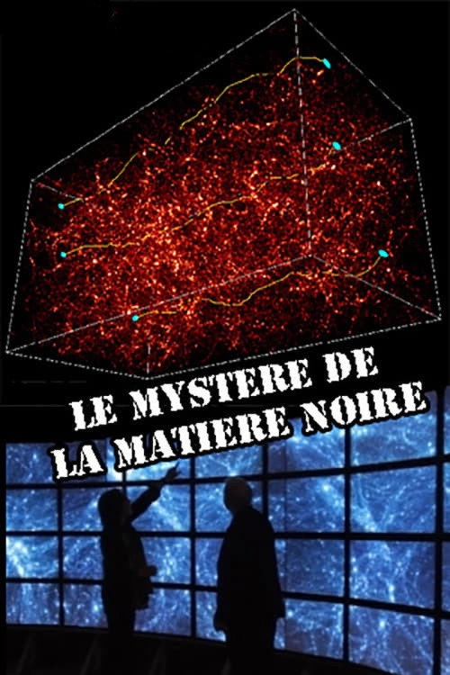 The Mystery of Dark Matter
