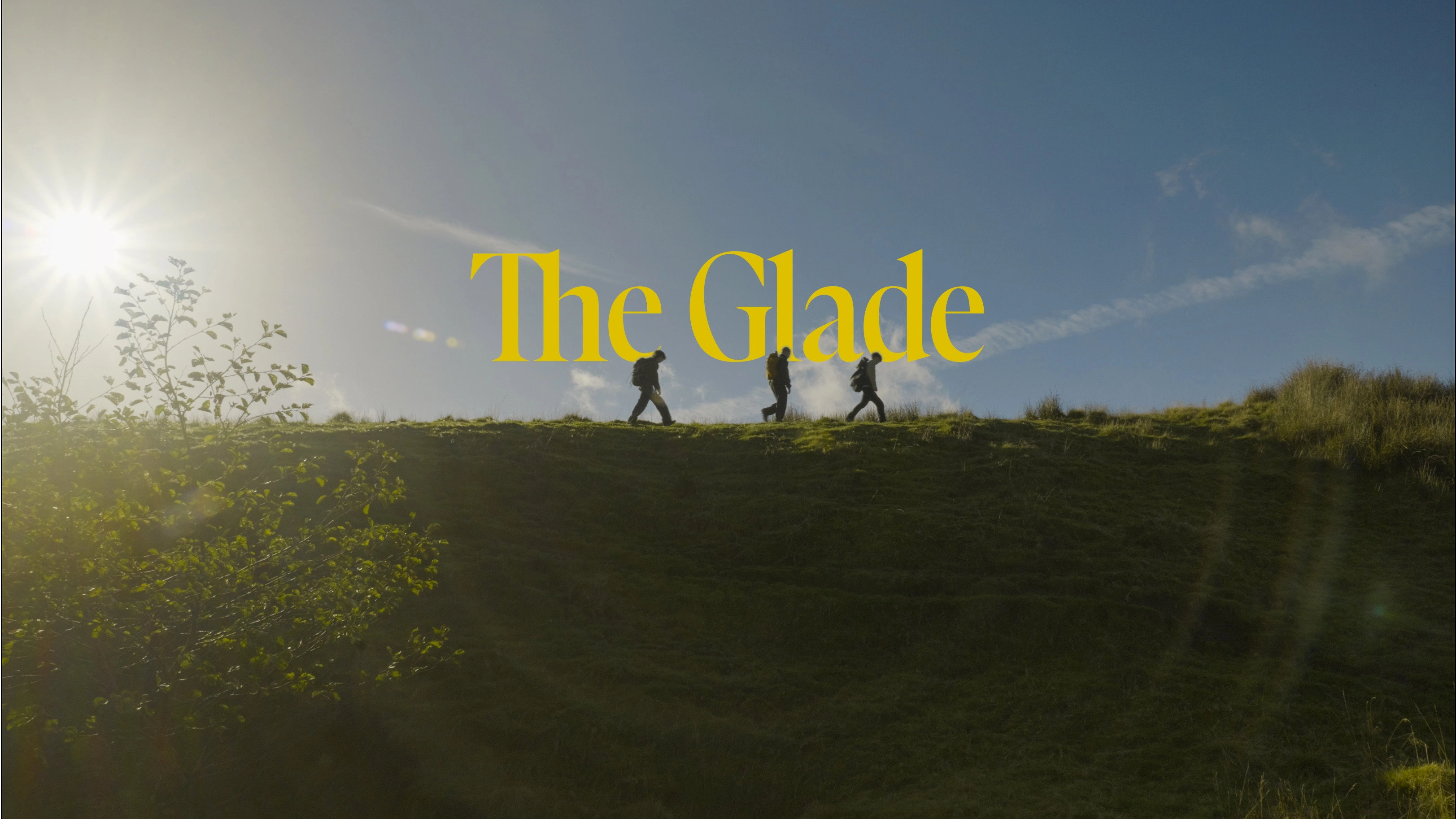 The Glade