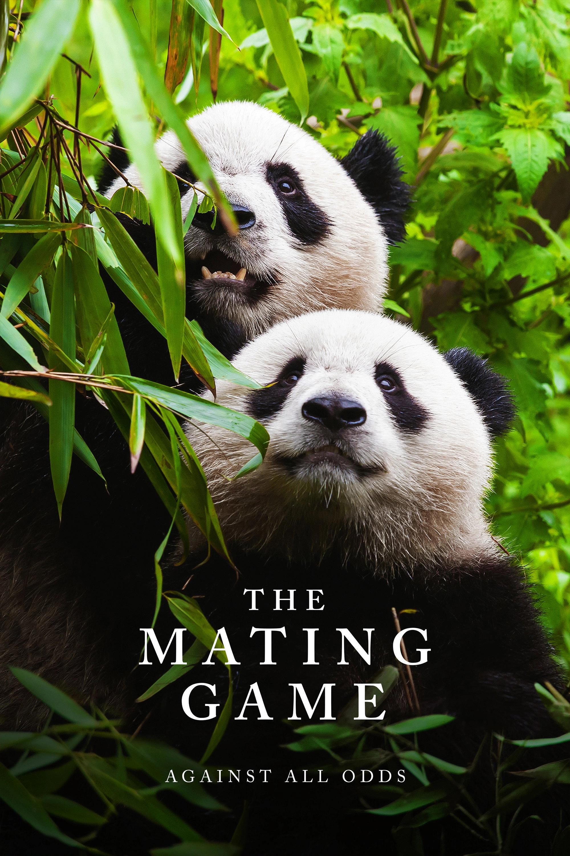 The Mating Game