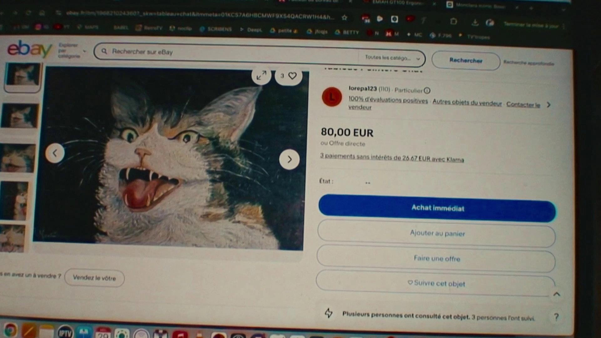 How To Save A Cat?
