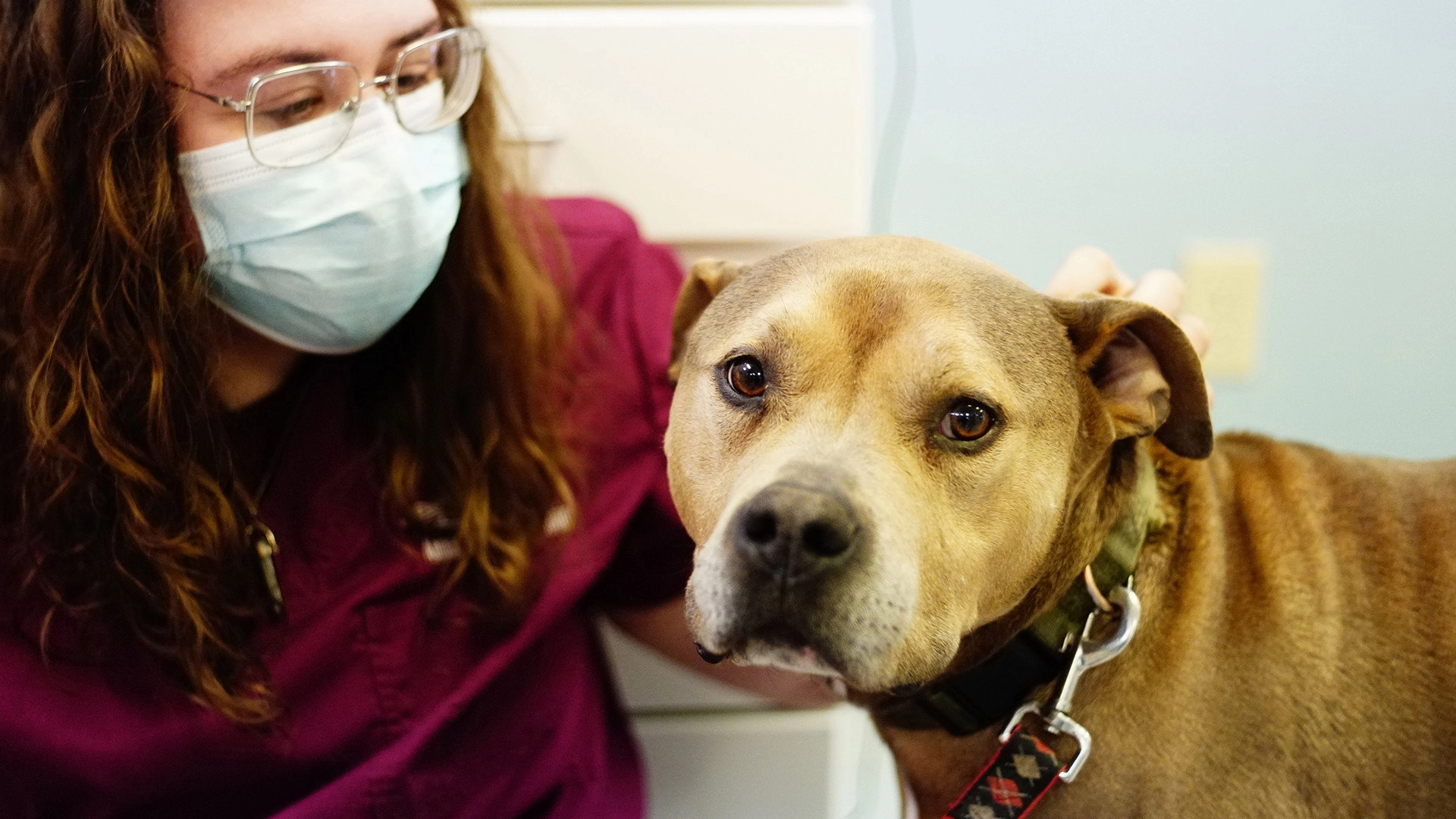 Pop Goes the Vet with Dr. Joya