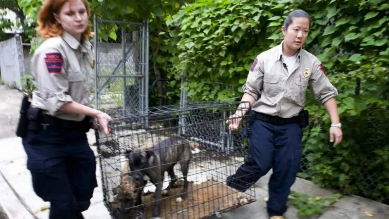 Animal Cops: Philadelphia