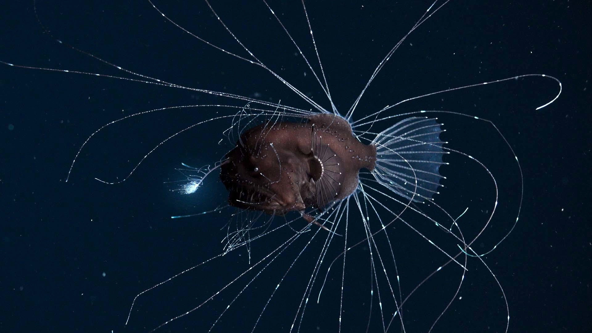 Our Planet