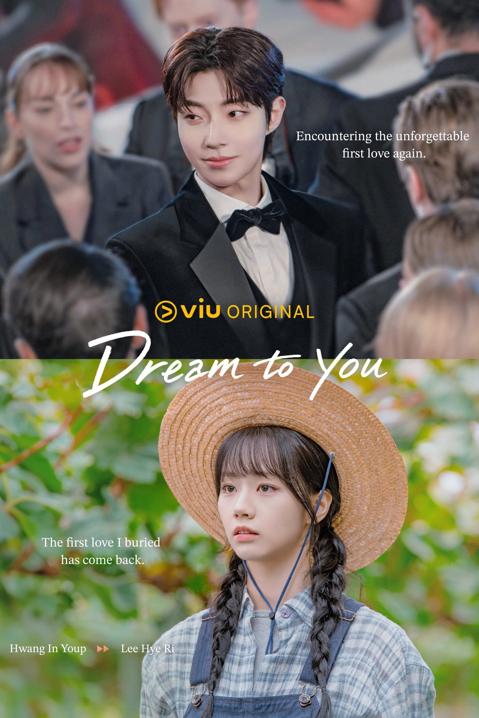 Dream to You
