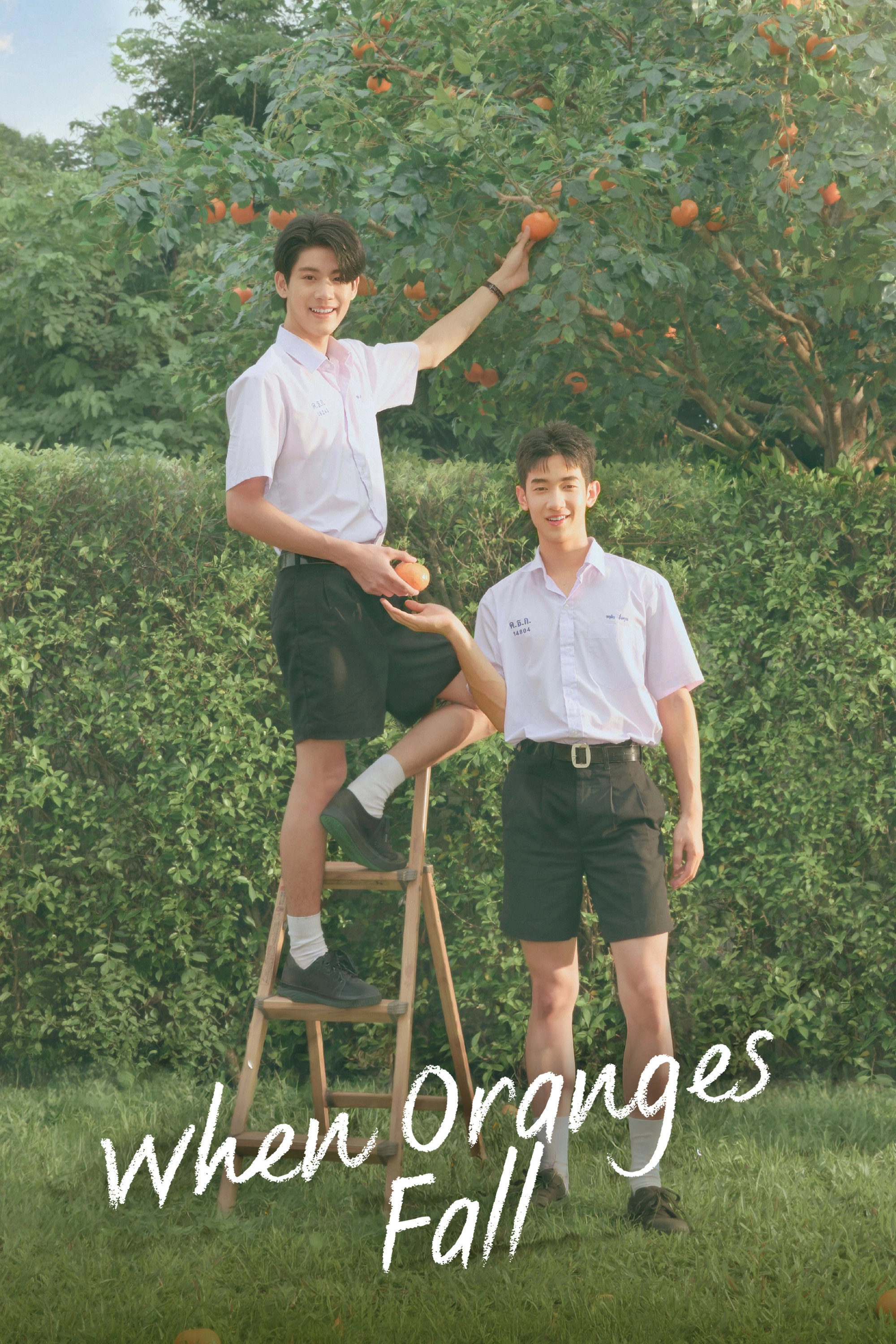 When Oranges Fall
