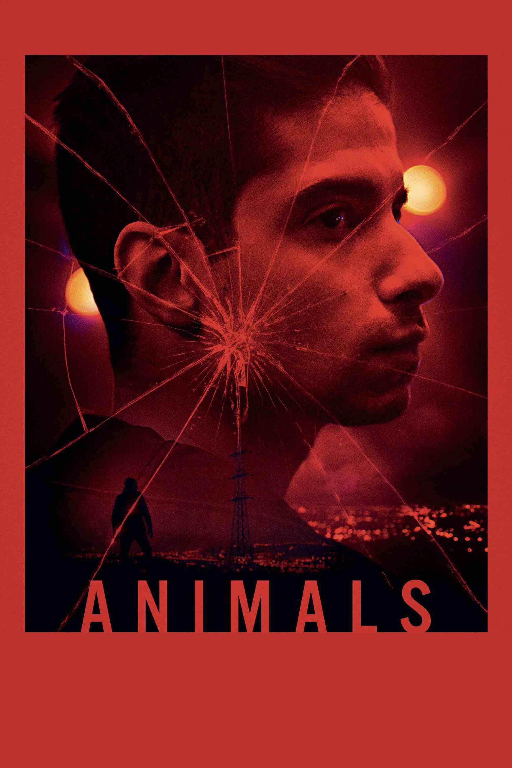 Animals