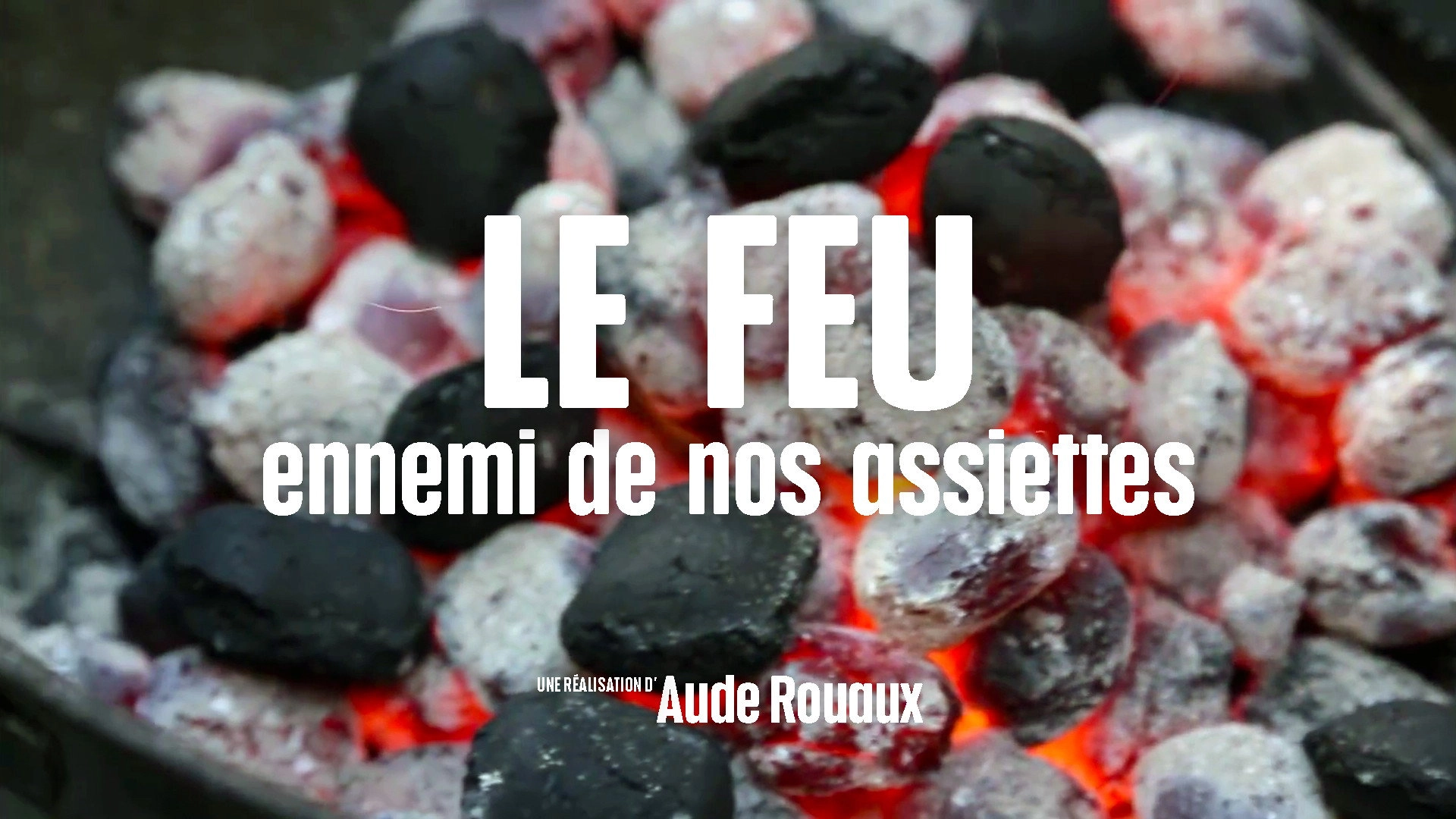 Le Doc du dimanche