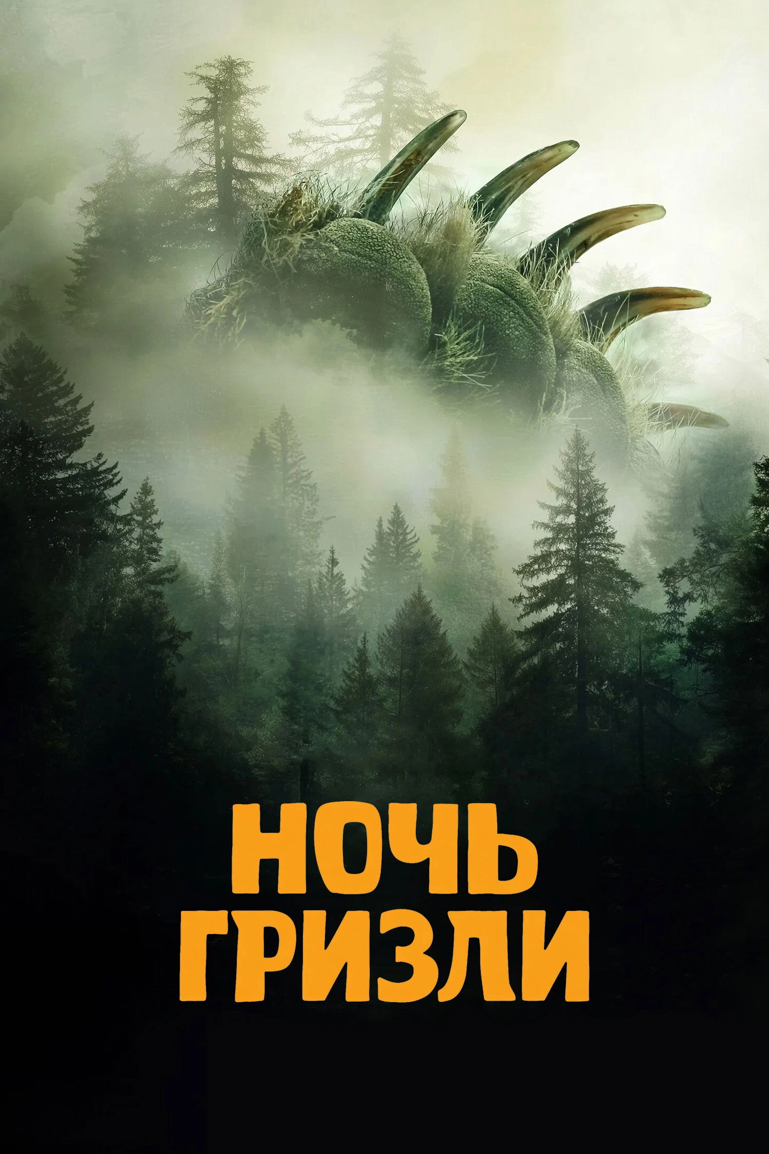 Grizzly Night