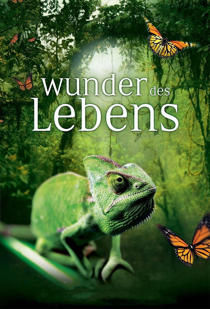 Wonders of Life