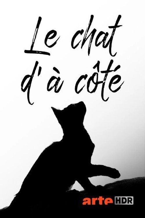 Le chat d'à côté