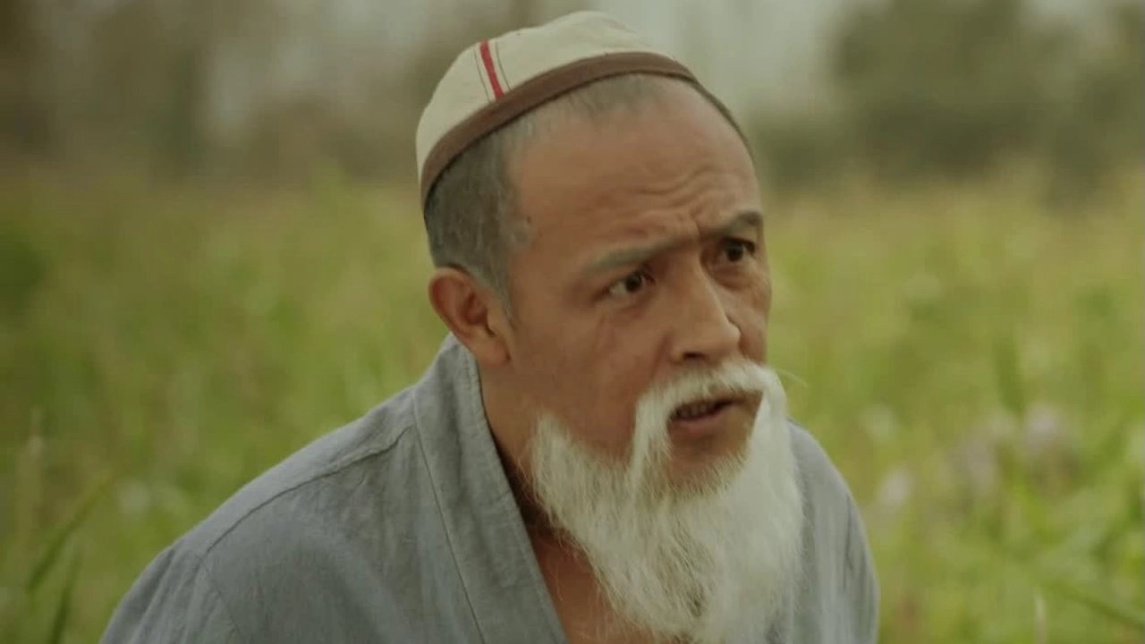 Uncle Kurban and His Descendants