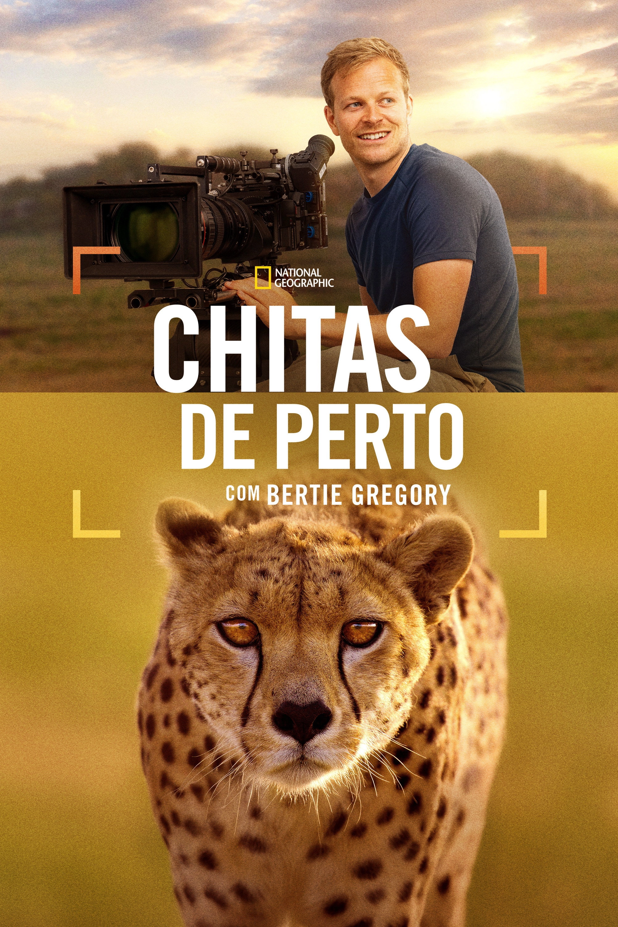 Cheetahs Up Close with Bertie Gregory