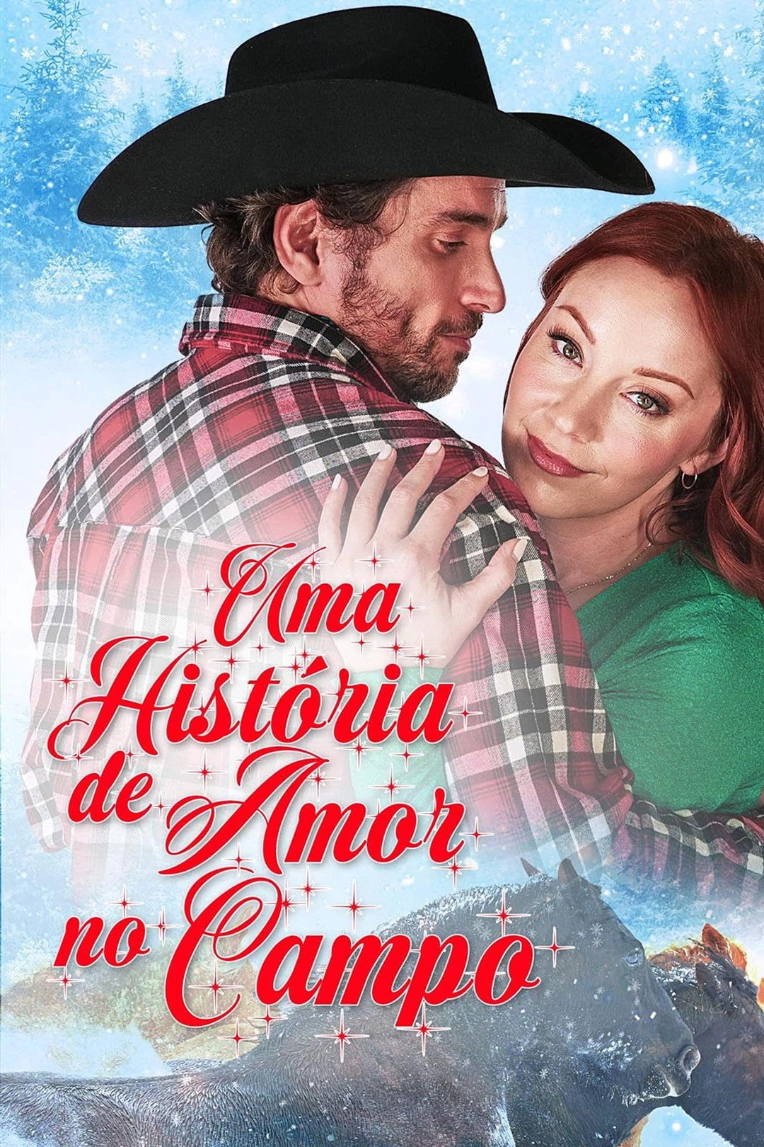 A Cowboy Christmas