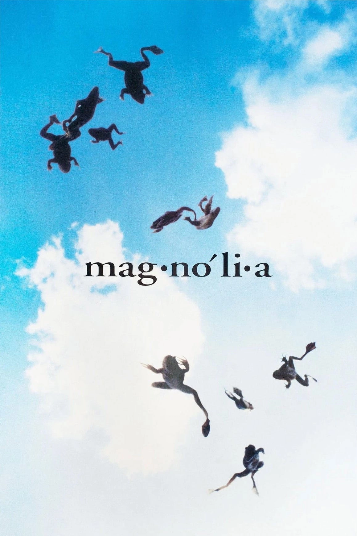 Magnolia