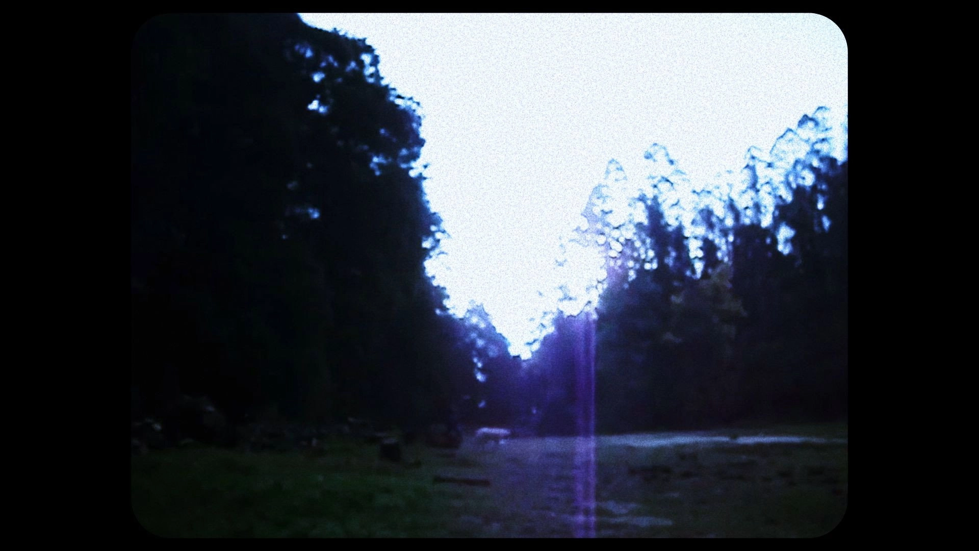 The Echoes of Lost Memory