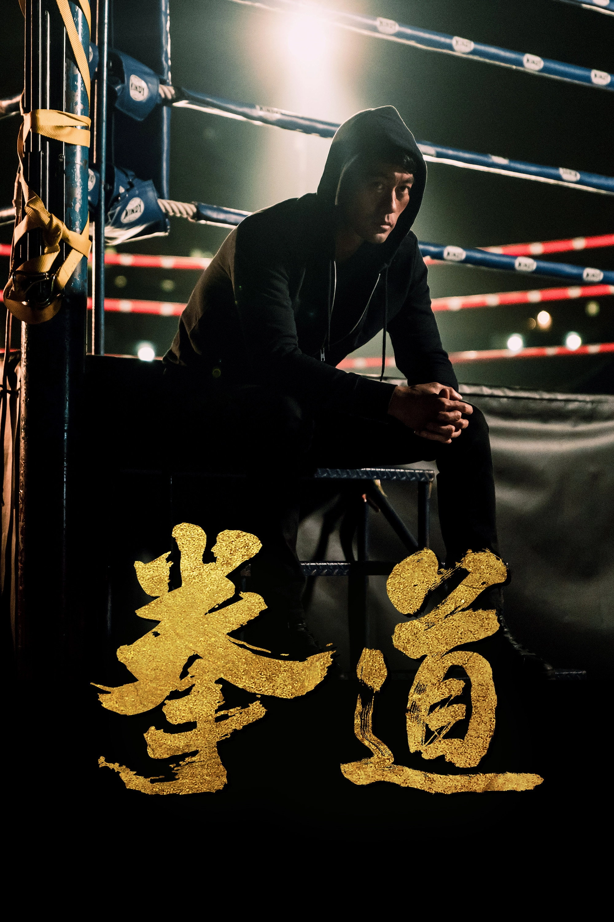 Quan Dao: The Journey of a Boxer