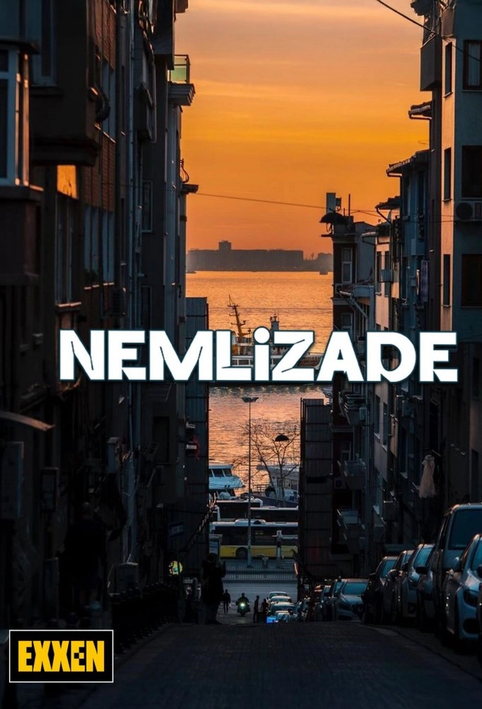 Nemlizade