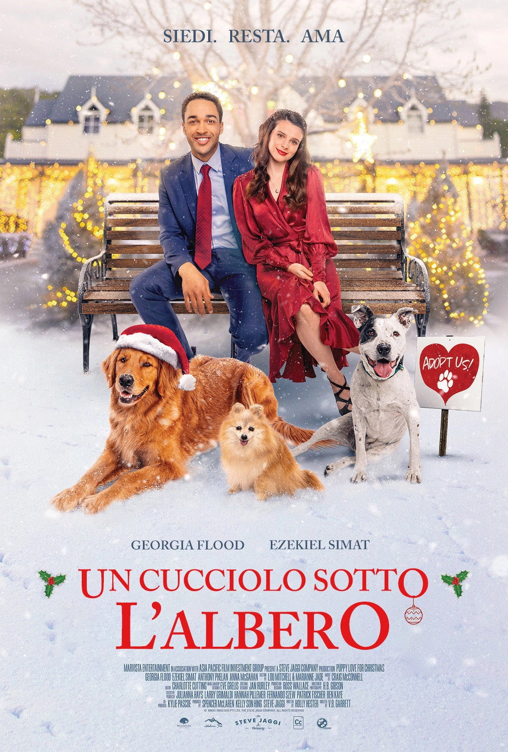 The Dog Days of Christmas