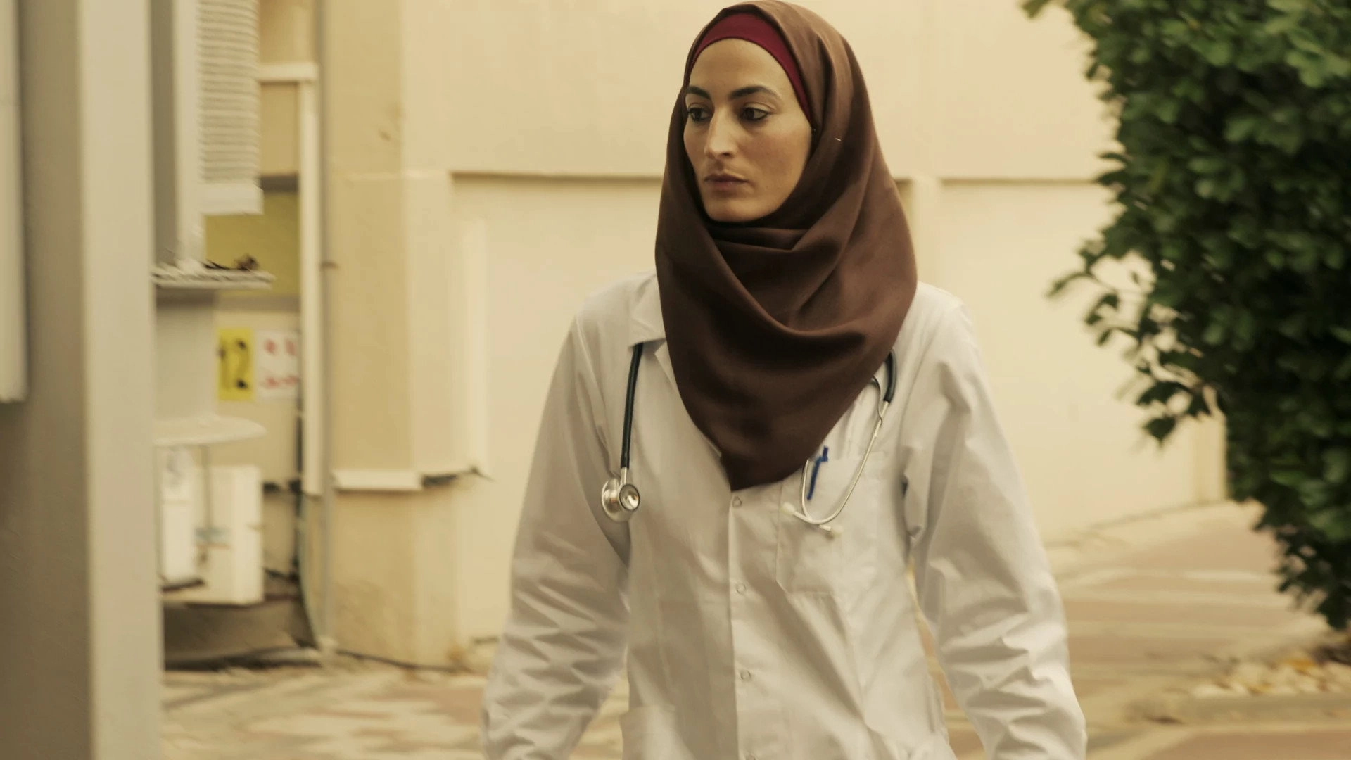 Fauda