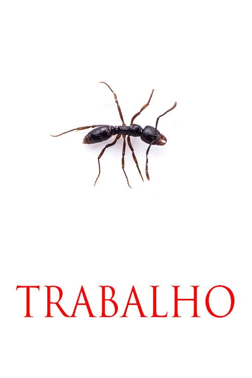TRABALHO