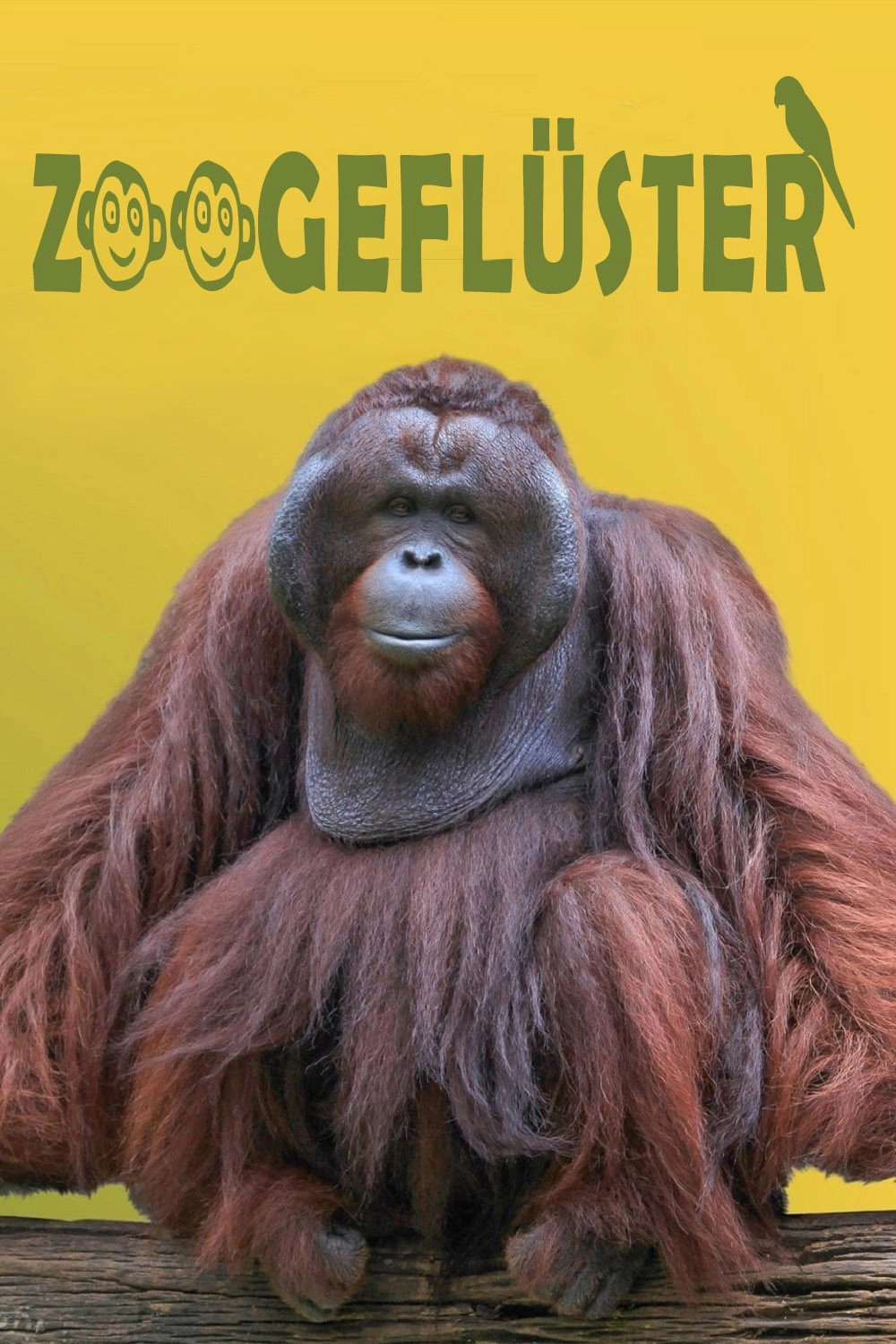 Secrets of the Zoo