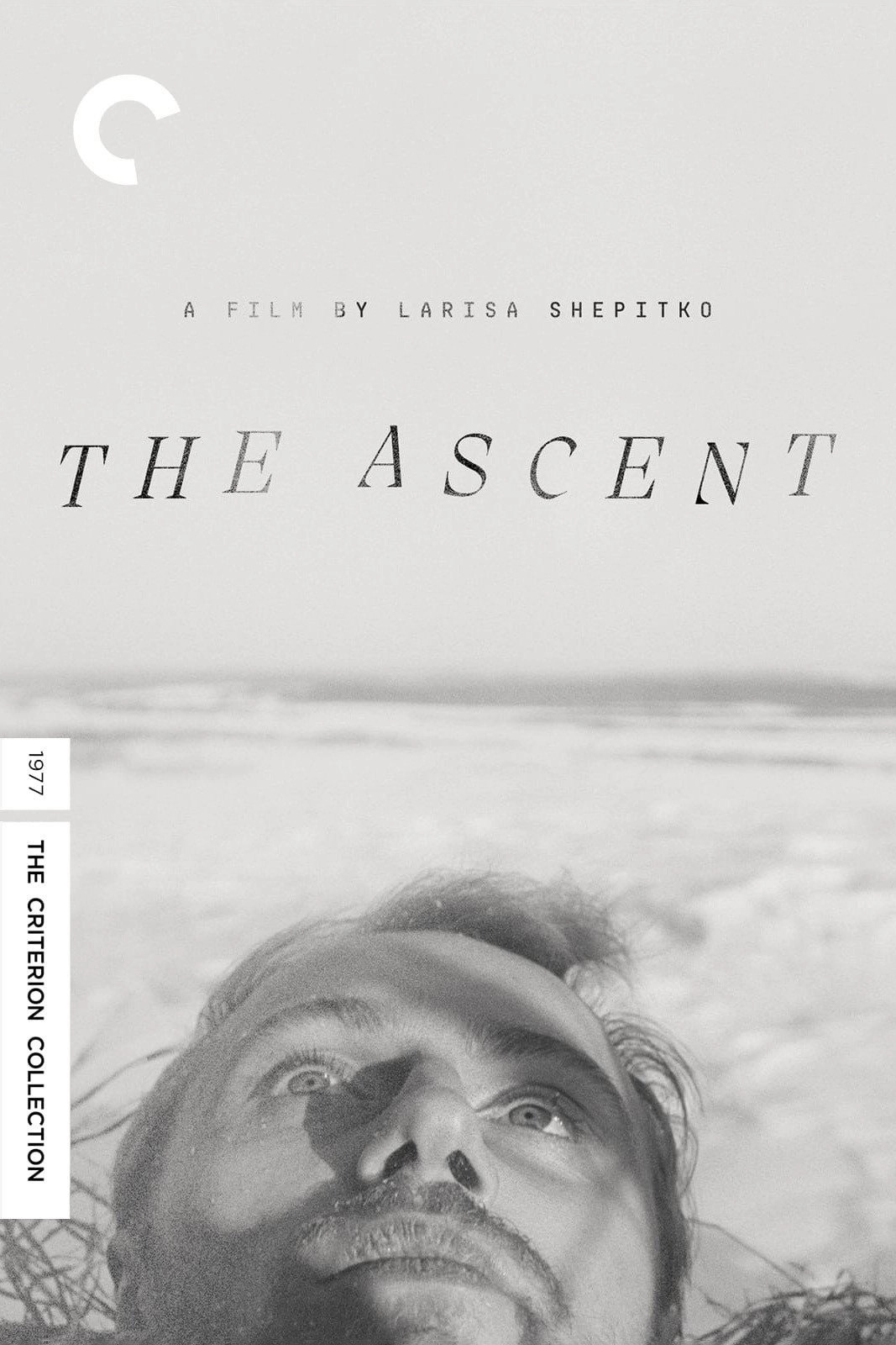 The Ascent