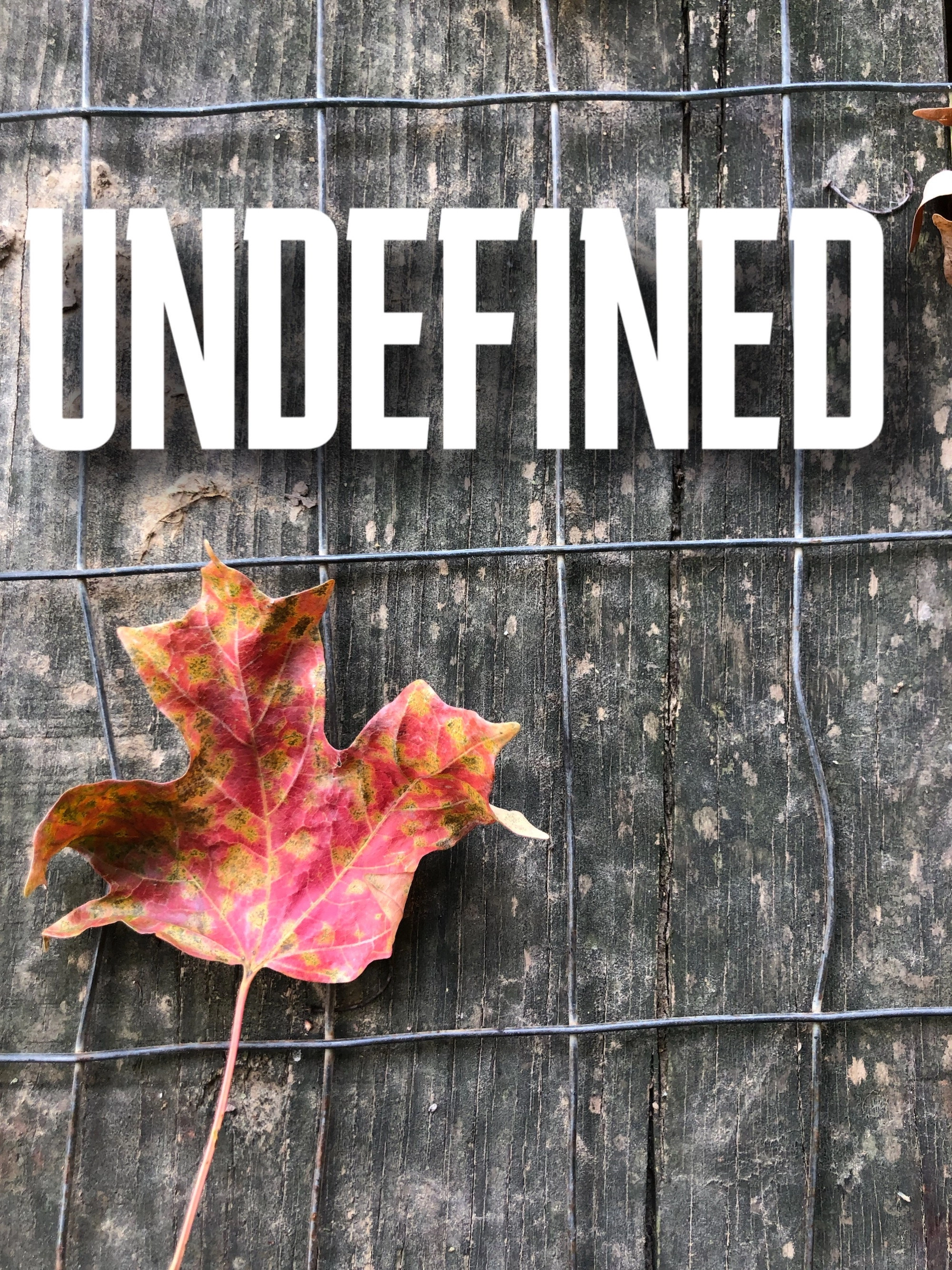 Undefined
