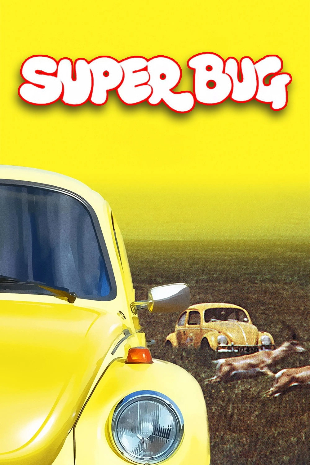 The Love Bug Rally