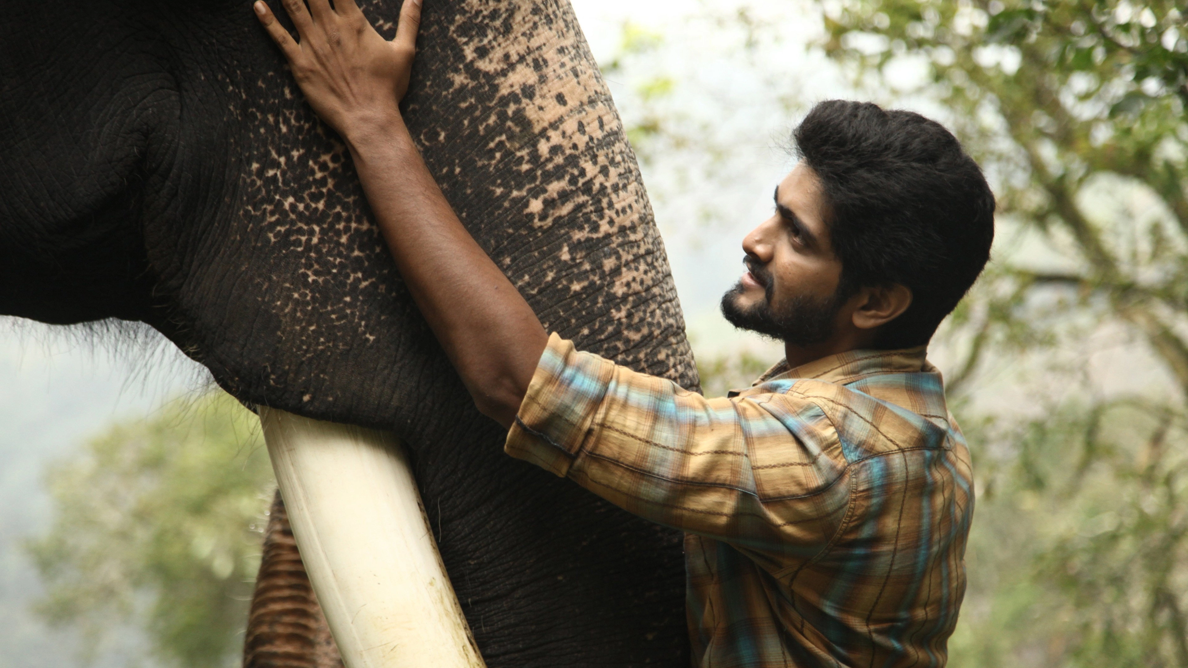 Kumki 2