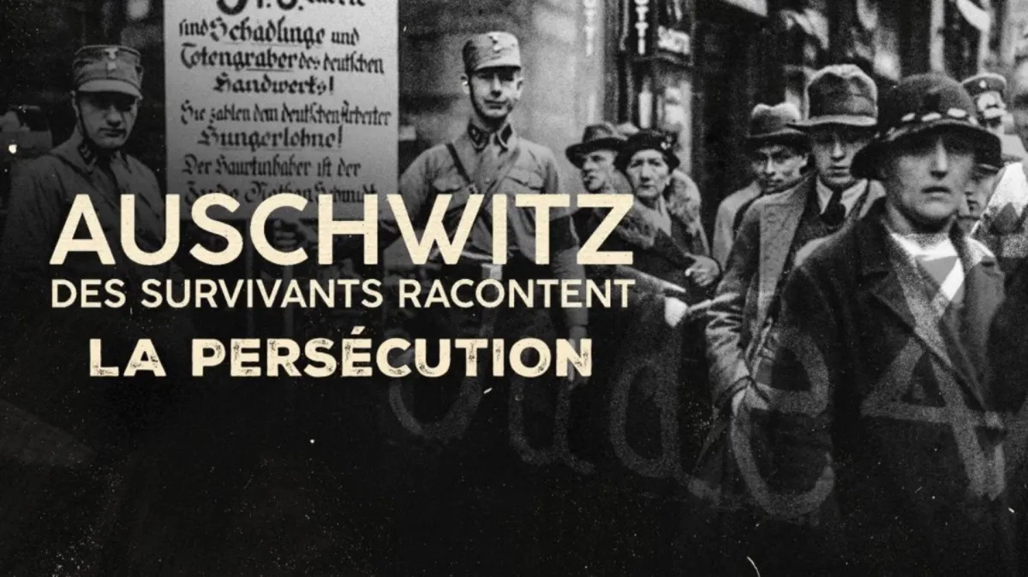 Auschwitz, survivors tell their stories