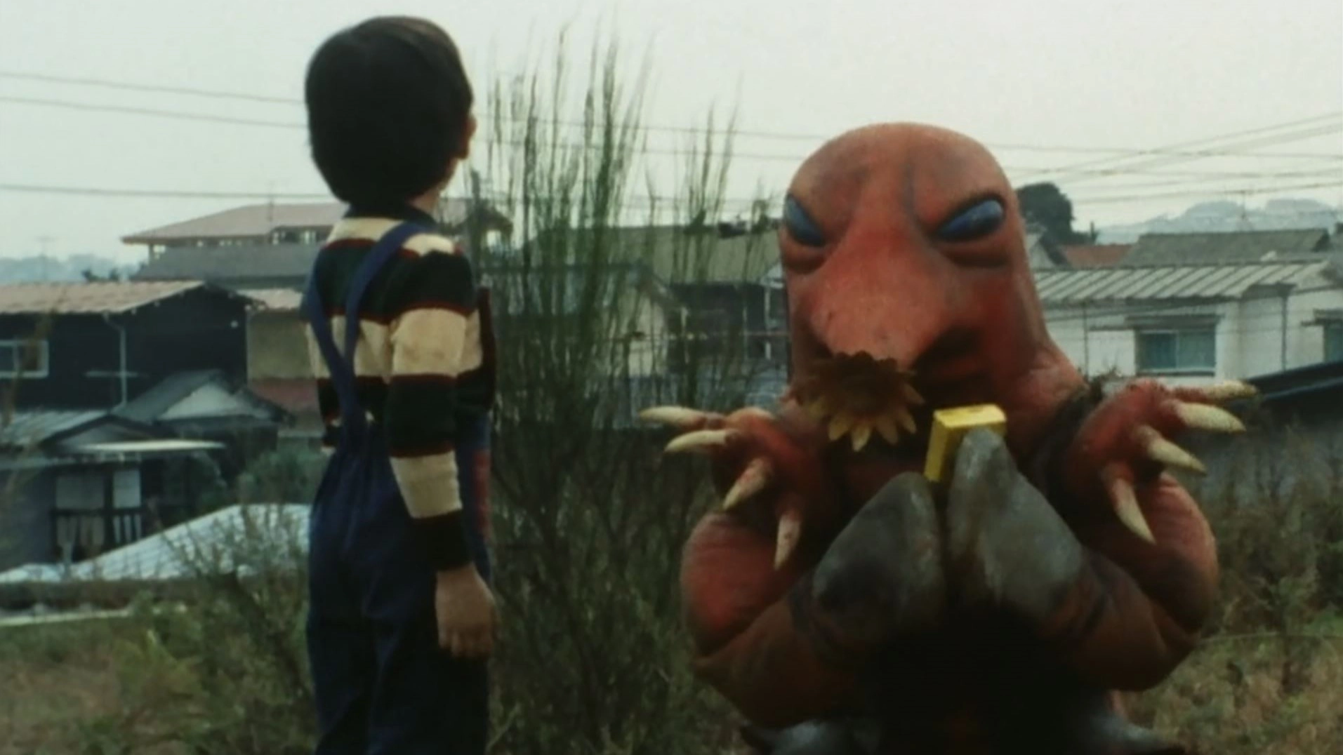 Kamen Rider Amazon