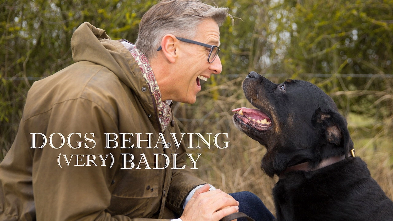 Dogs Behaving (Very) Badly