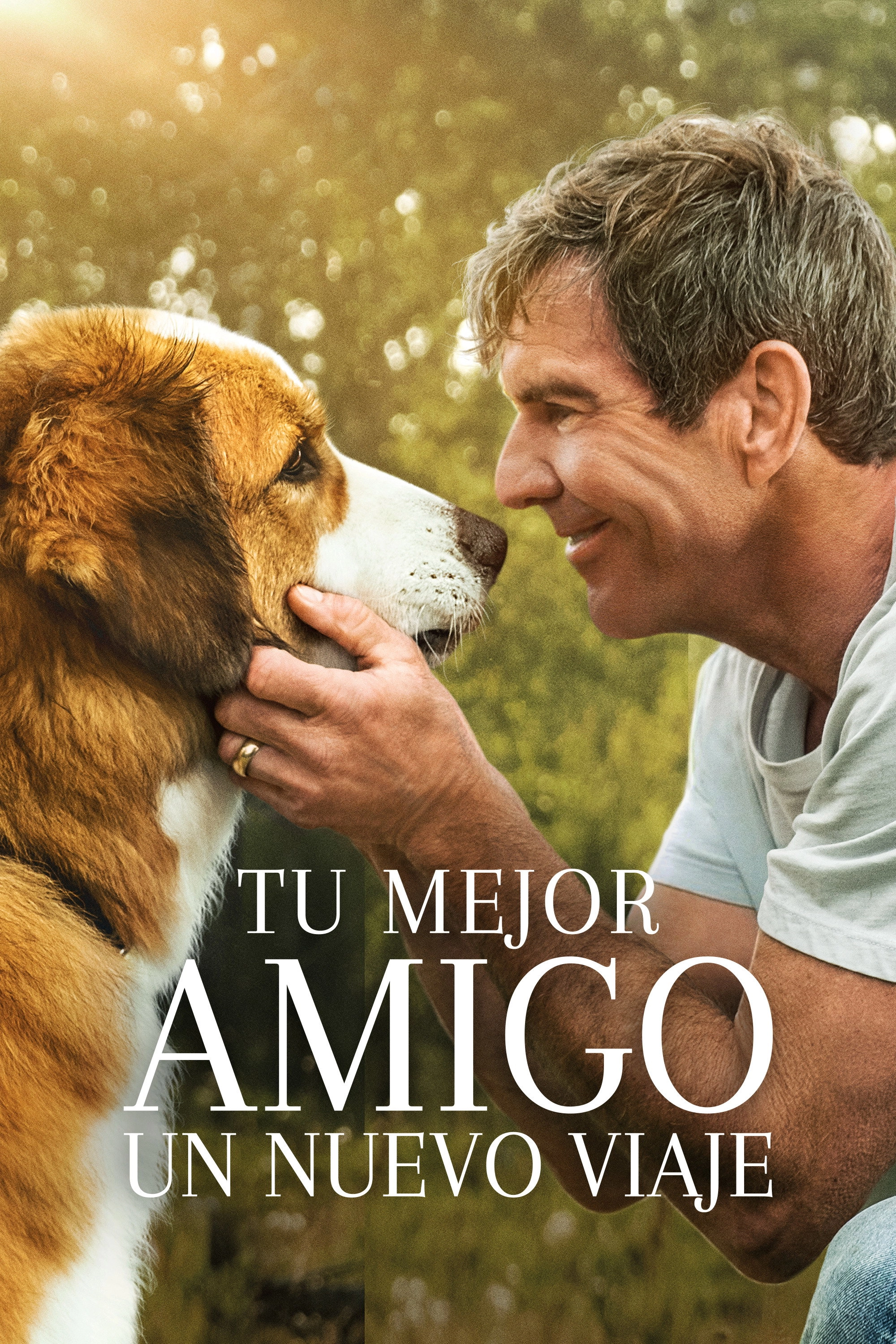 A Dog's Journey