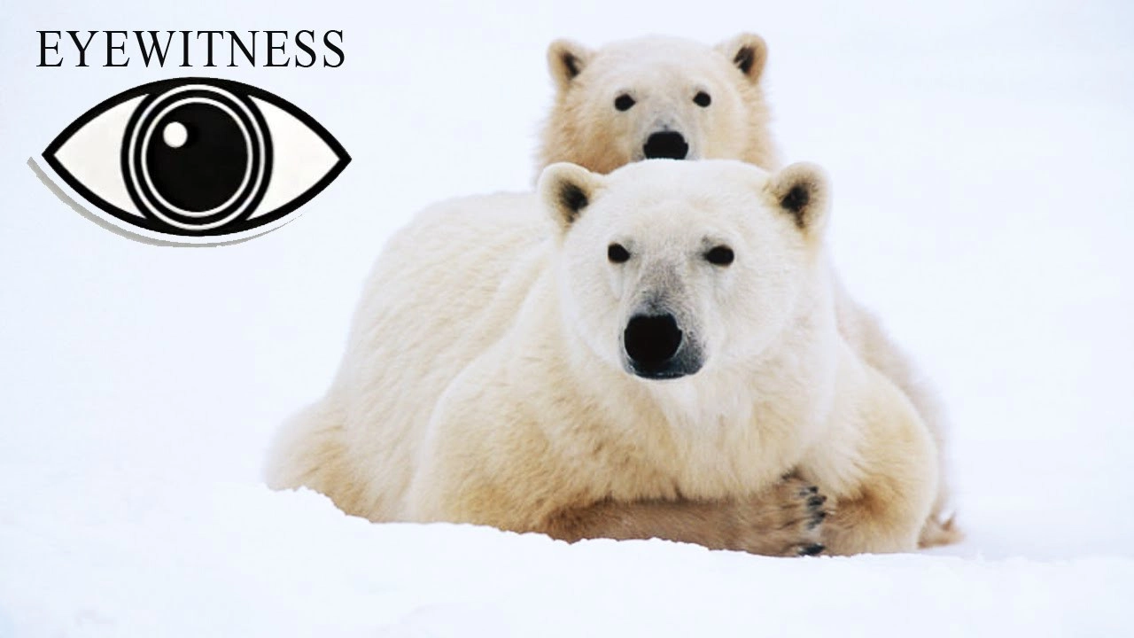 Eyewitness