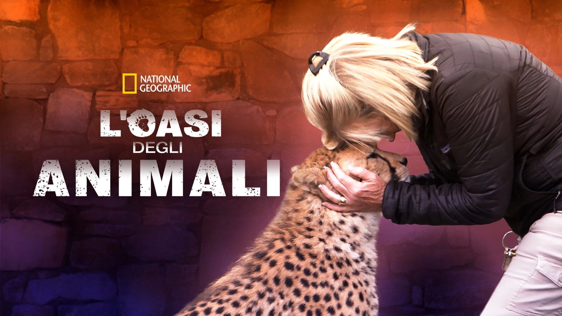 Secrets of the Zoo
