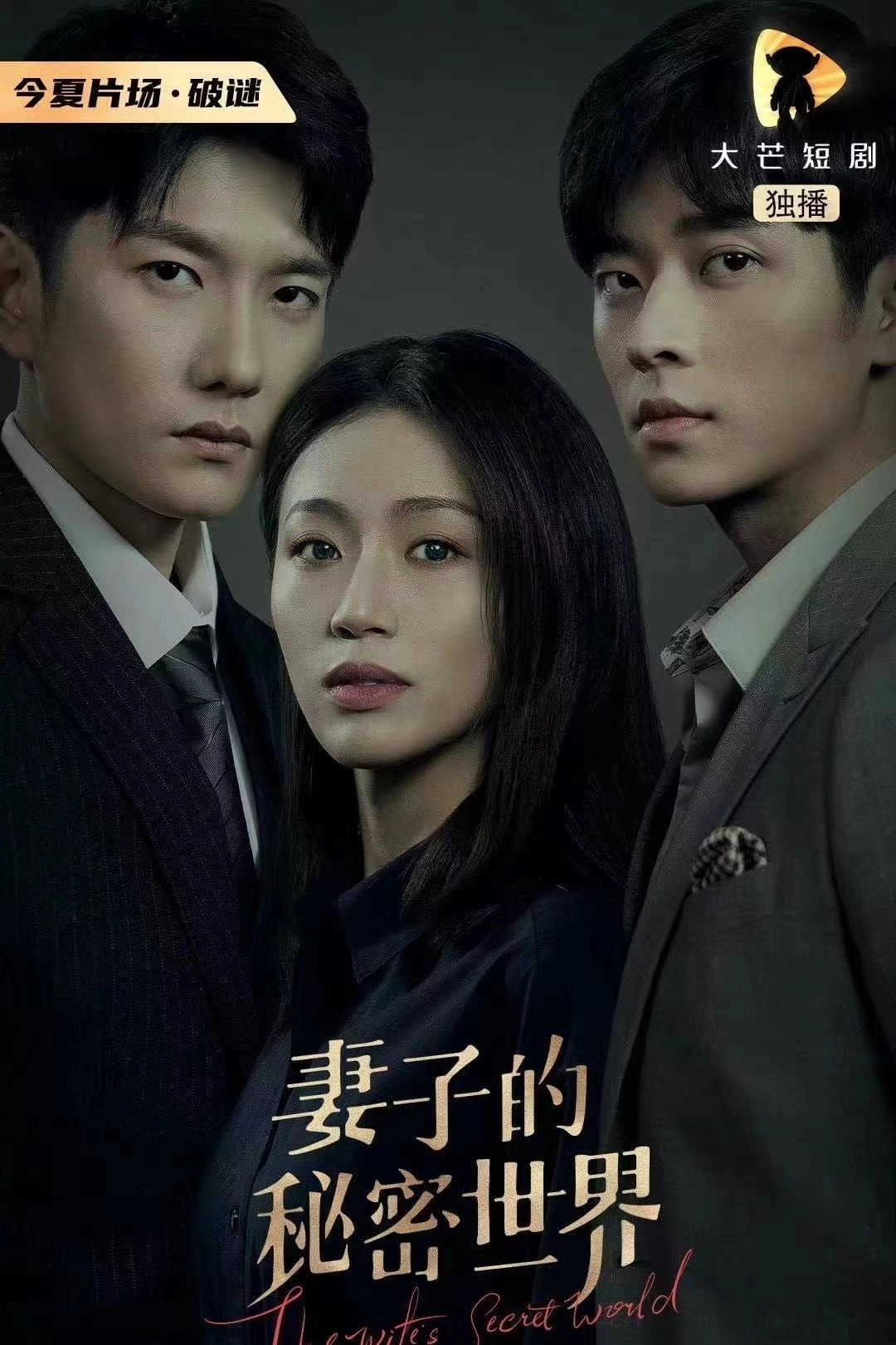 The Wife's Secret World