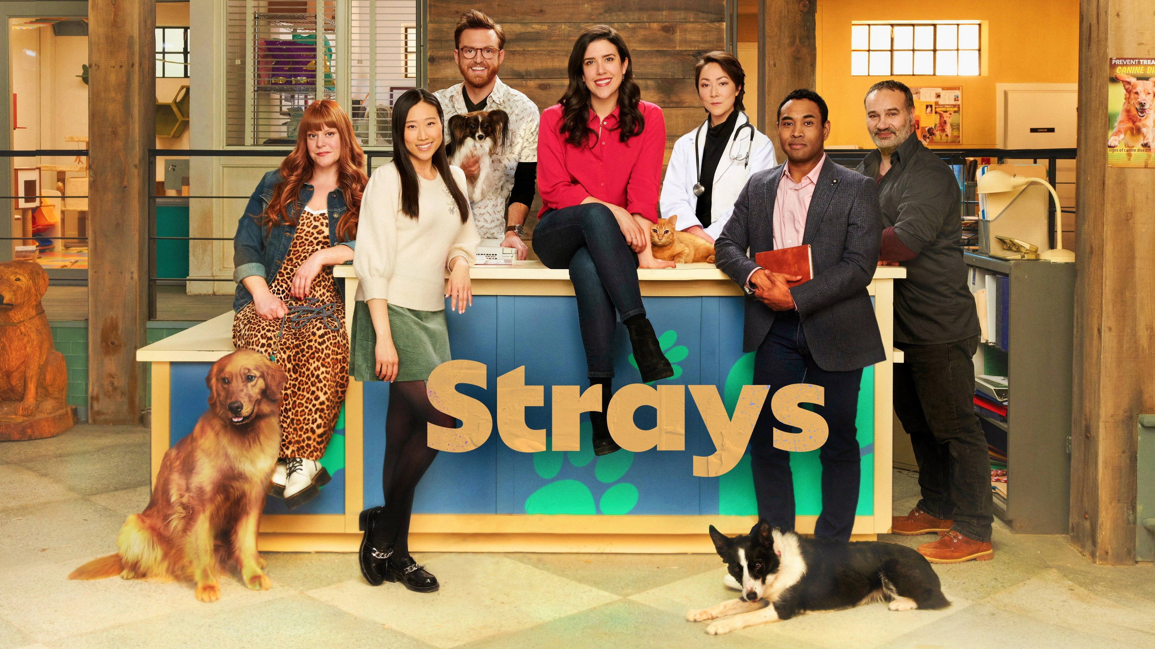 Strays