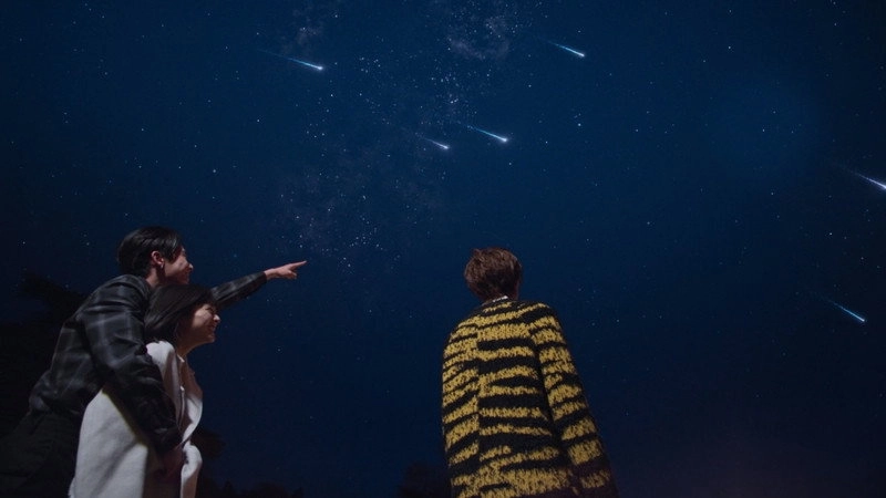 Meteor Garden