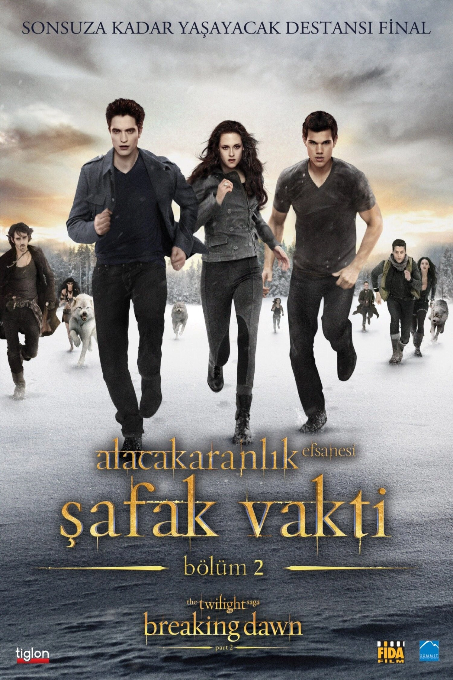 The Twilight Saga: Breaking Dawn - Part 2