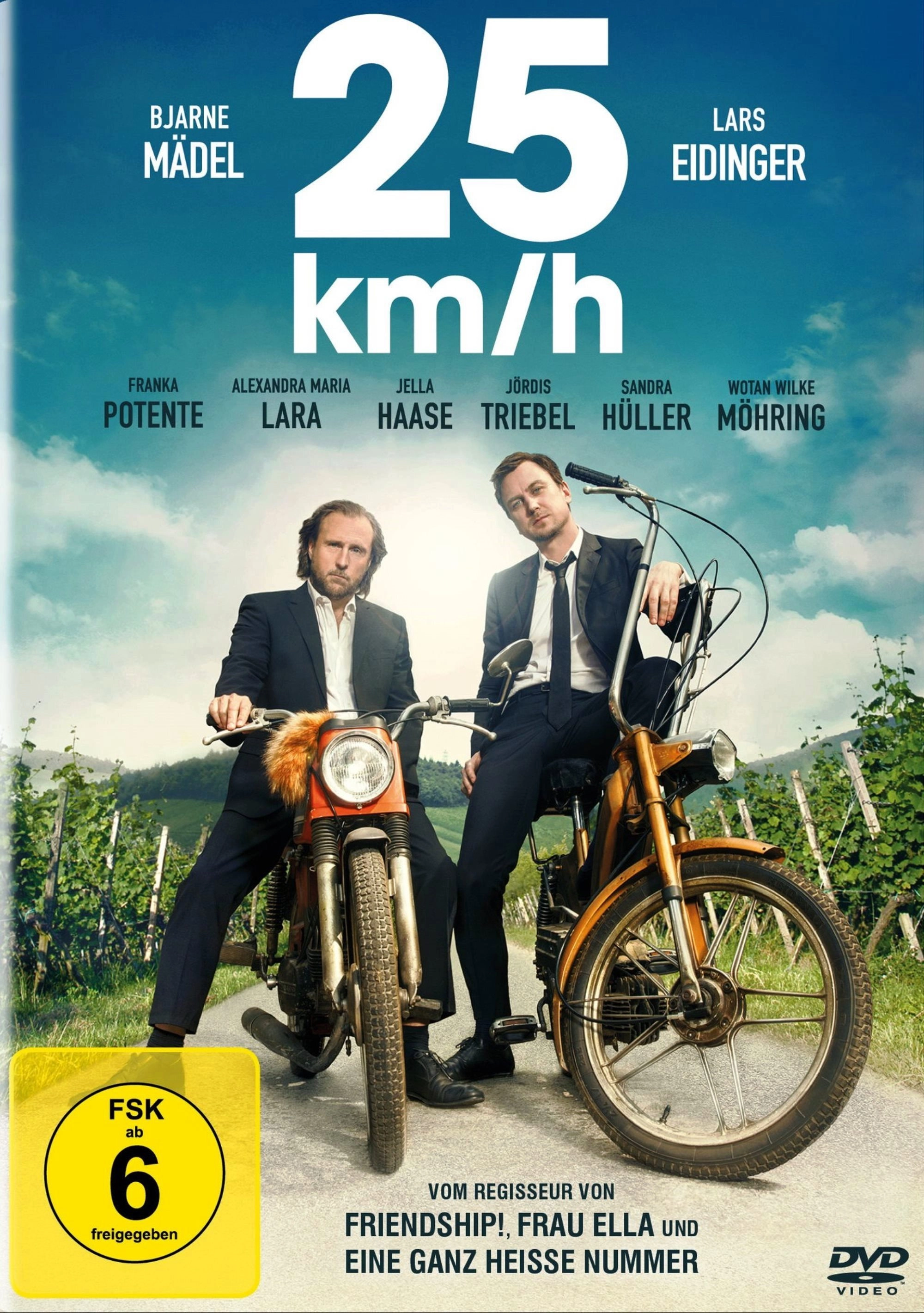 25 km/h