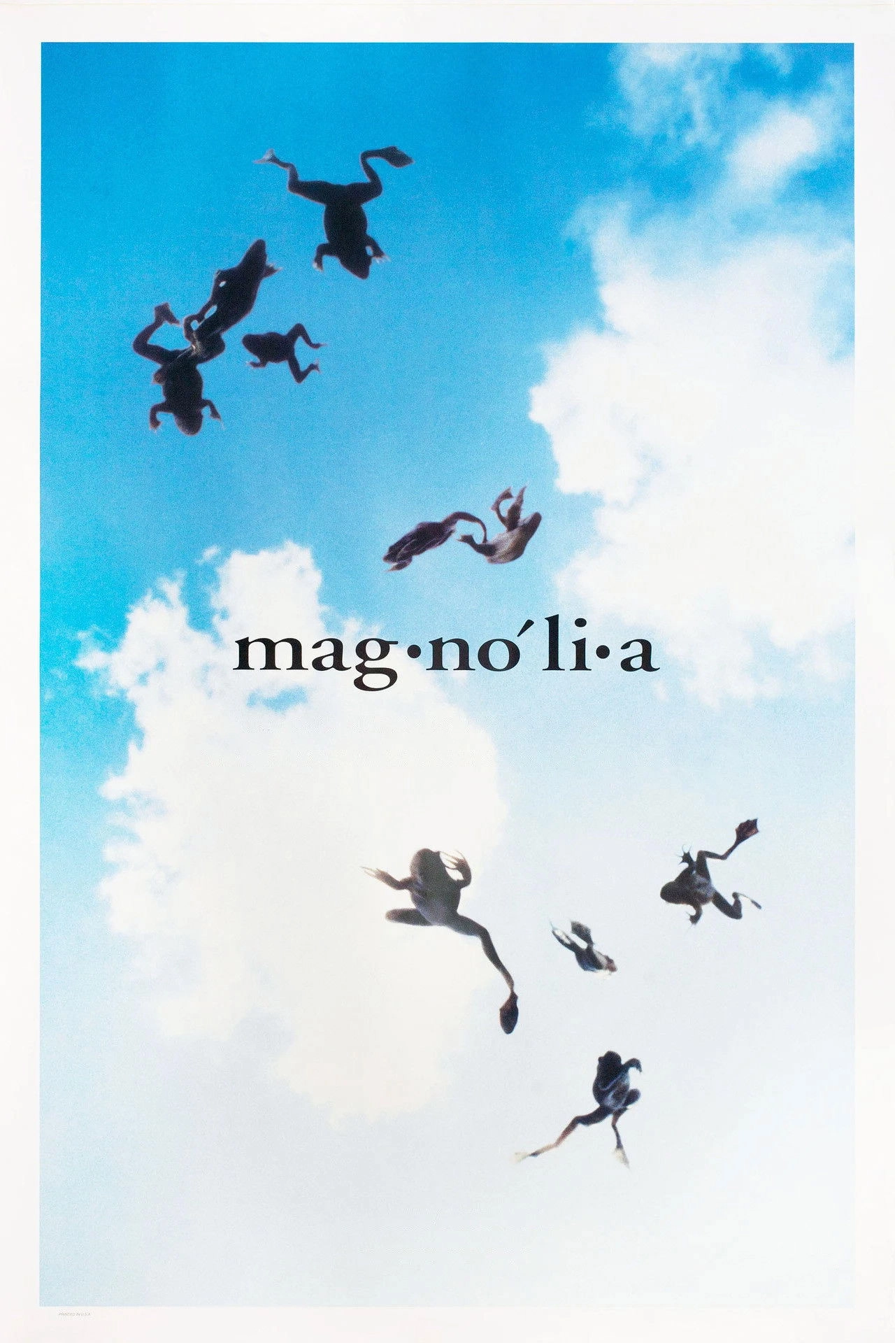 Magnolia