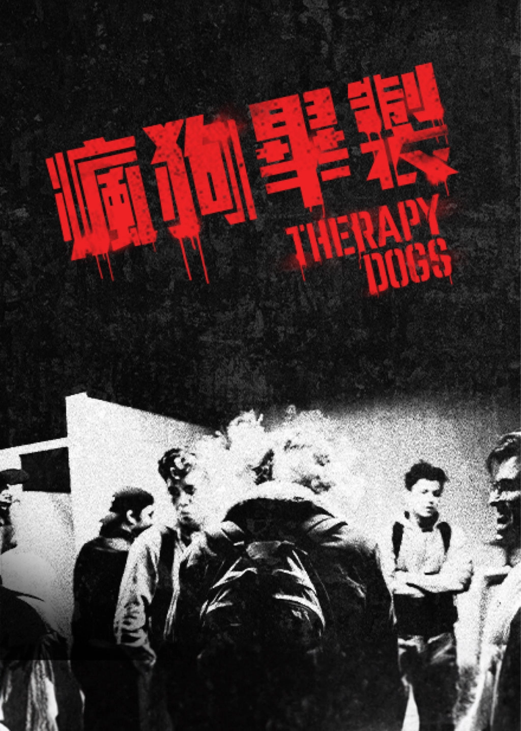 Therapy Dogs