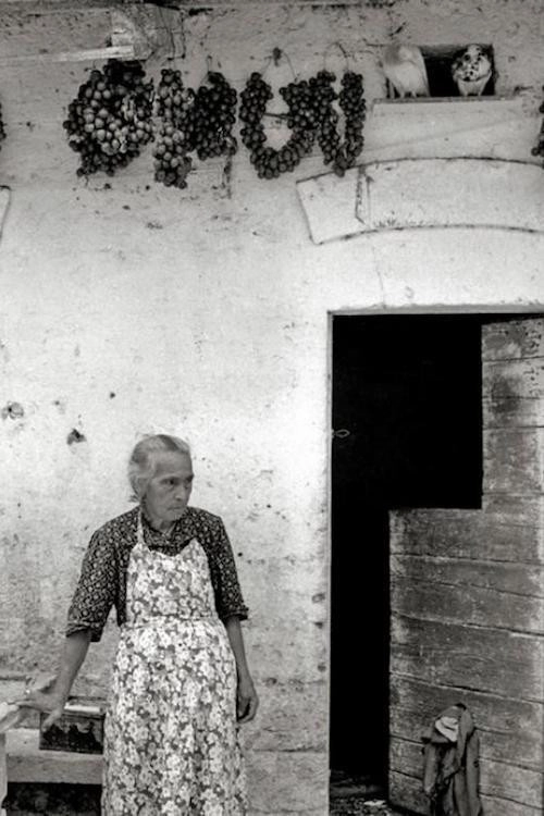 Maria's Days